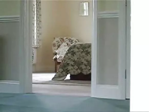 Ba cams ya solo ya basi oyo bakoli, ba cams ya kobombama oyo ebombami.